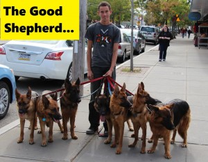 augusto-good-shepherd 2222