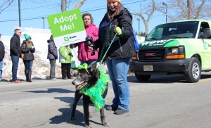 aaaaaaaaaaaaaa IMG_4899 ed 14